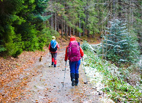 Wandern im Febrar