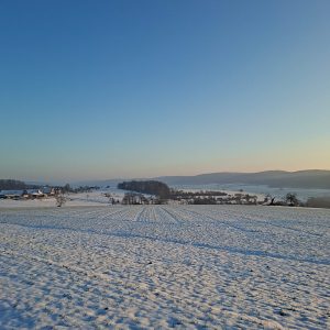 Gut Rosshof Winterlandschaft