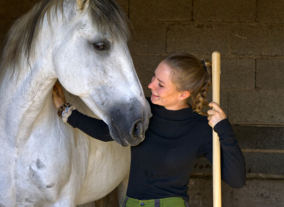 Reiten auf dem Rosshof