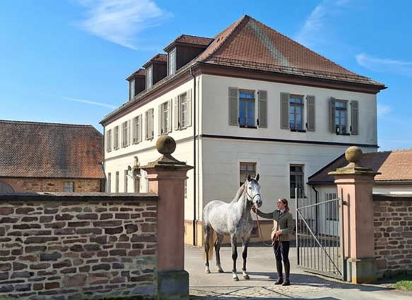 Reiten auf dem Rosshof